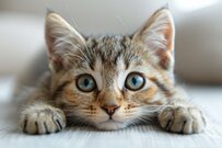 6月支給分から年金が増える！【老齢年金】国民年金・厚生年金「みんな月額いくらもらってる？」