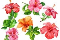 厚生年金「月平均30万円超え」の高額受給者が！現役当時の年収はいくらだった？