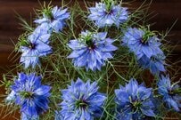 あなたの厚生年金・国民年金「6月15日支給分から増額です」2026年度の改定内容＆ライフコース別年金額例《働き方別5つのモデルを比較！》