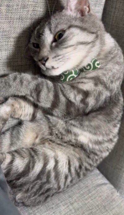 目が覚めたととまるくん