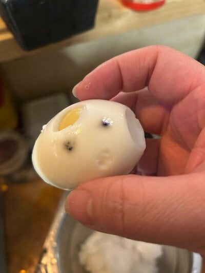 投稿の画像