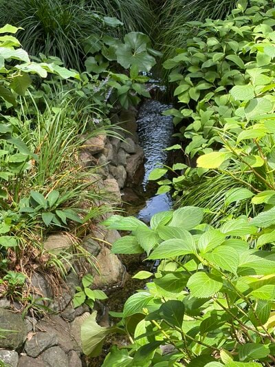 ビオトープや水槽、水の流れも楽しめます