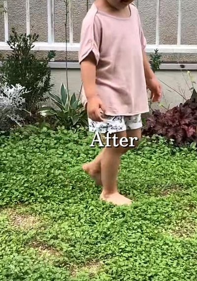 投稿動画のワンシーン