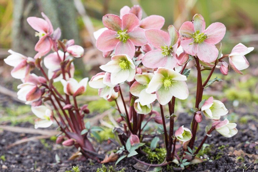 PaulMaguire/istockphoto.com