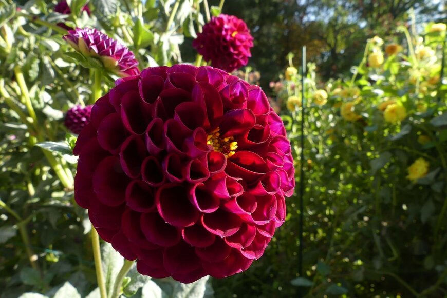 fernandoul/shutterstock.com