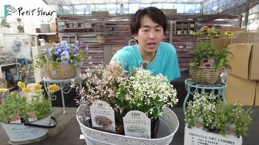 出所：@petit_fleur