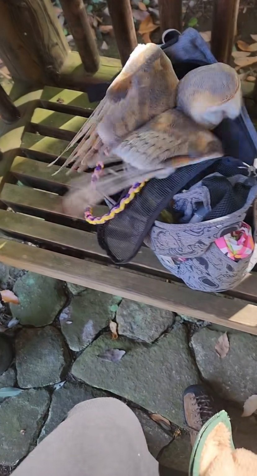 出所：@miki4wan108