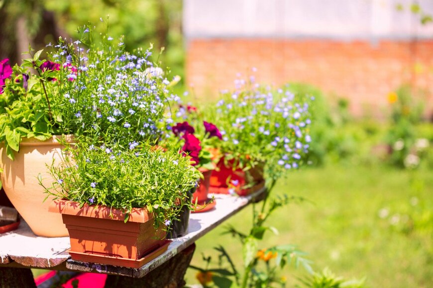 boiling/istockphoto.com