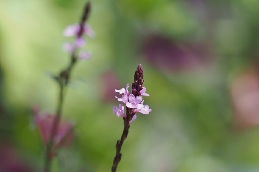 F_studio/shutterstock.com