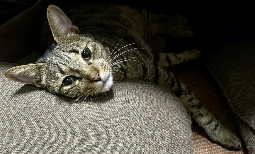 出所：@luna7taka9