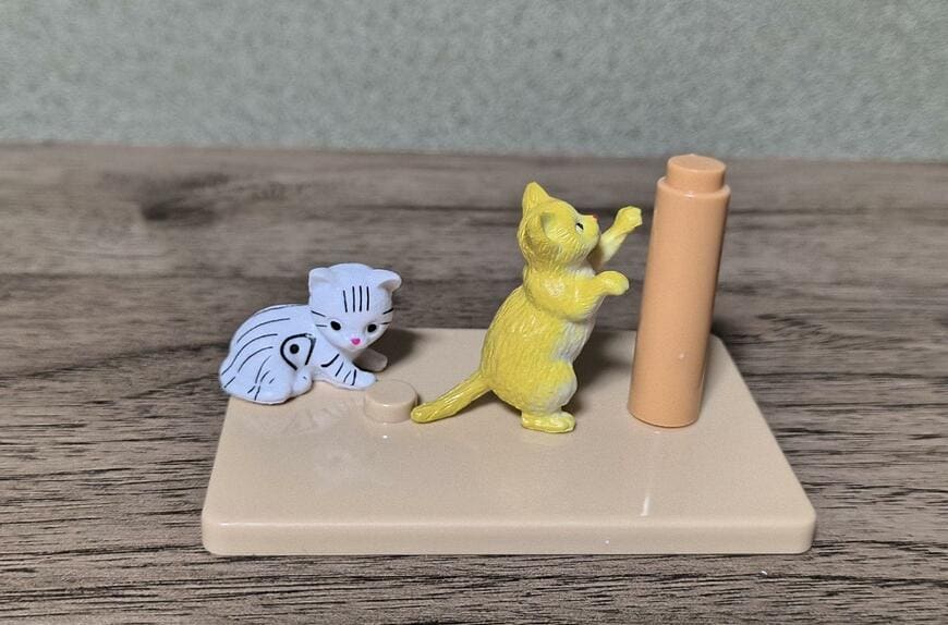 筆者撮影（ダイソー、にゃんことおうち）