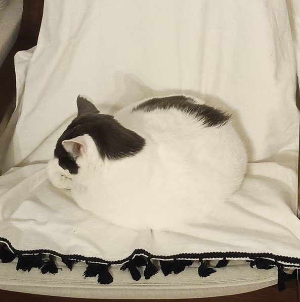 出所：@onigiri_kuri