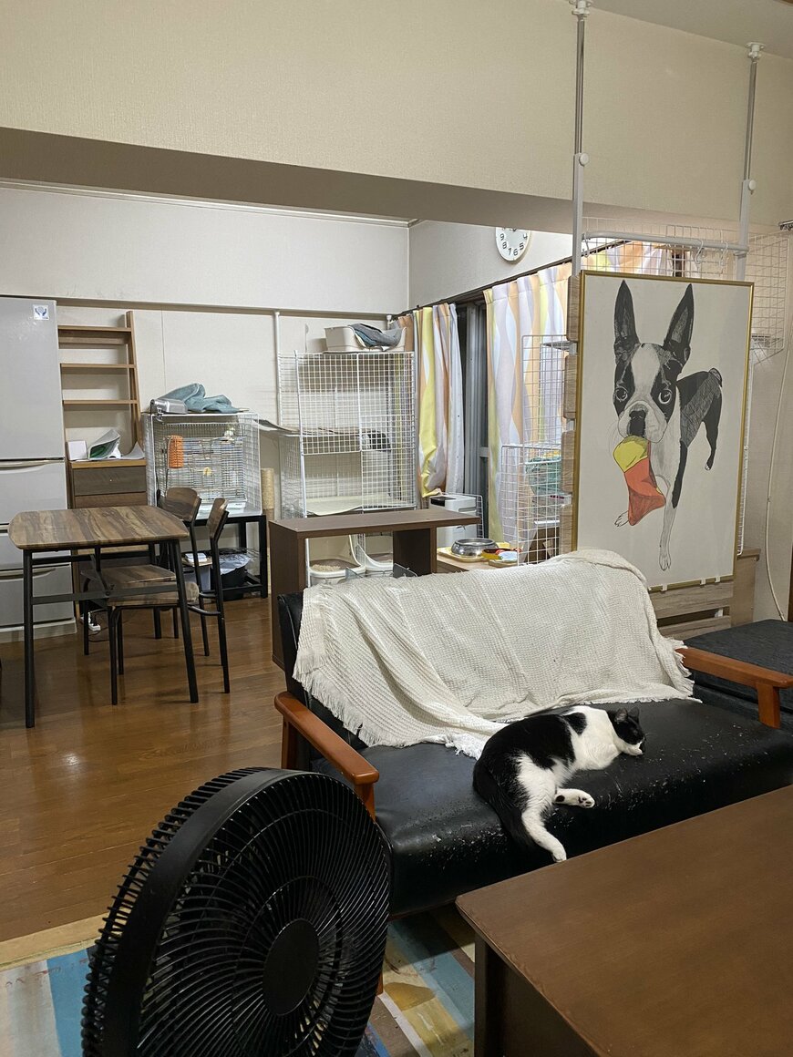 出所：@00shitemita