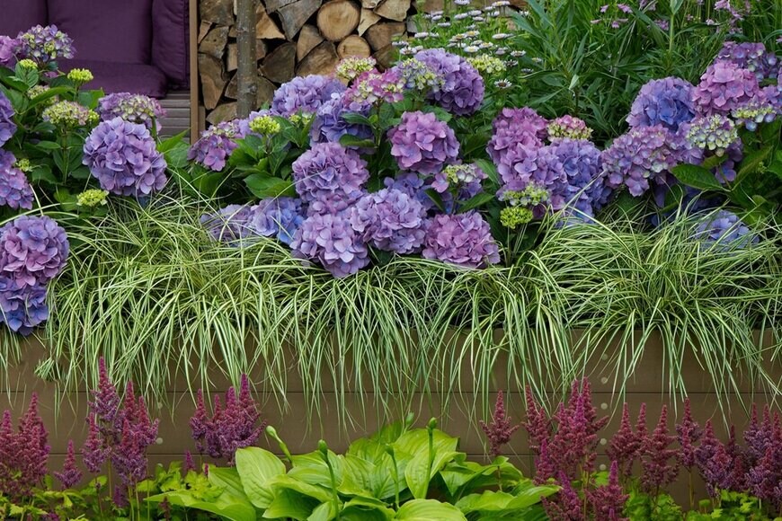 Gardens by Design/shutterstock.com