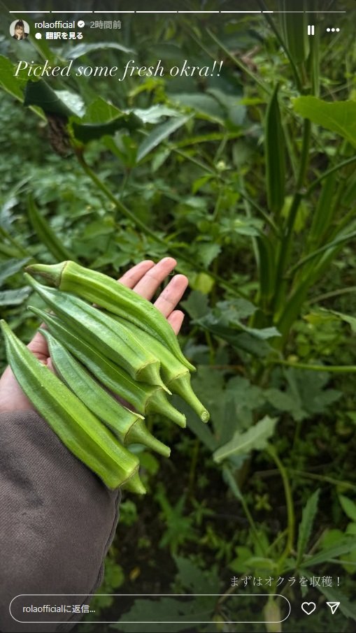出所：ローラのInstagramストーリーズ（＠rolaofficial）参照日：2025年10月8日
