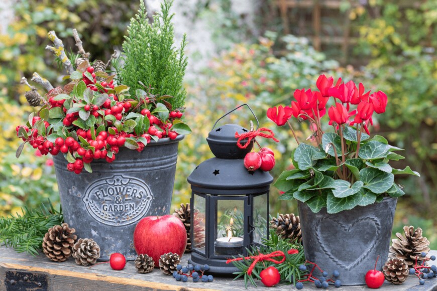 Natalia Greeske/istockphoto.com