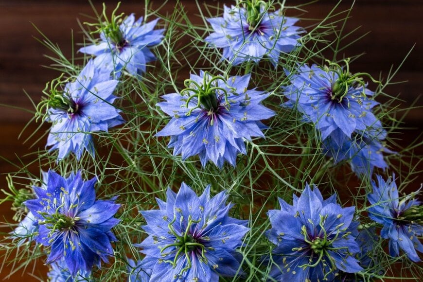 あなたの厚生年金・国民年金「6月15日支給分から増額です」2026年度の改定内容＆ライフコース別年金額例《働き方別5つのモデルを比較！》