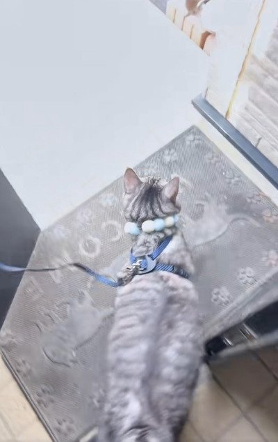 出所：＠monburan_sanpo