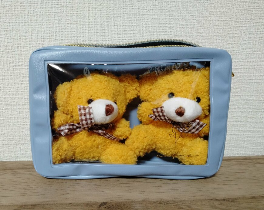 筆者撮影（セリア、クリア窓付ポーチ ニュアンスカラー）