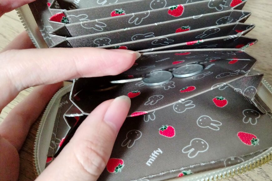 筆者撮影（宝島社、miffy カードが見やすい じゃばら式ミニ財布 BOOK）