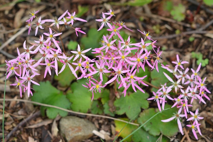 Aleksandr Naumenko/istockphoto.com