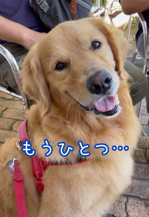 出所：goldenuzboy