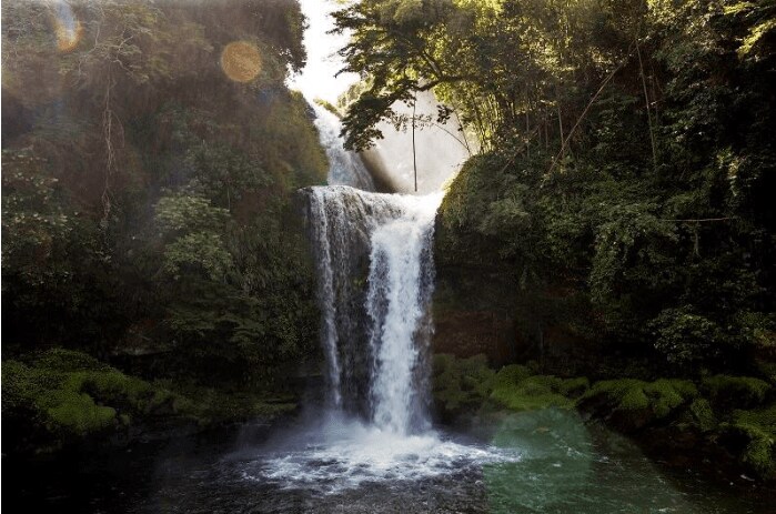 出所：大分県玖珠町｜公式サイト