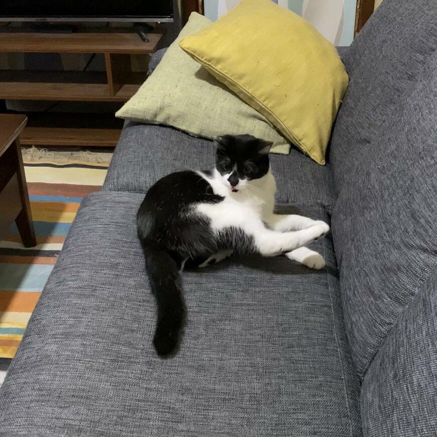 出所：@00shitemita