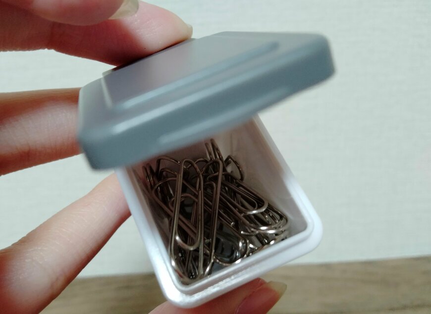 筆者撮影（セリア、ミニチュア ペダルペール）