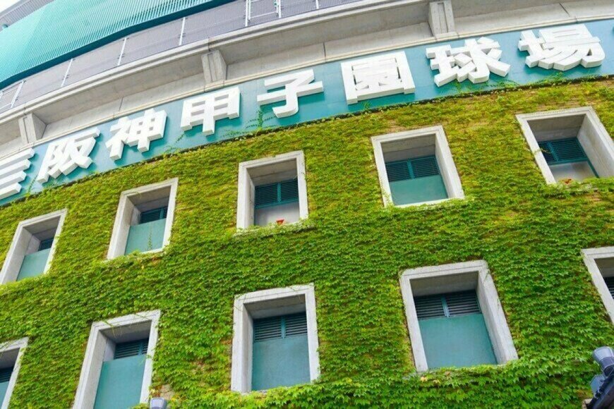 阪神甲子園球場のイメージ