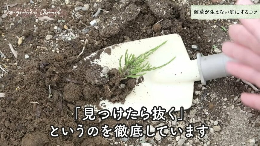 光合成をさせない