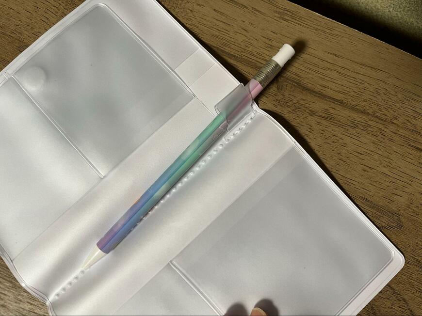 セリア、保険証お薬手帳収納ケースシマエナガ柄画像