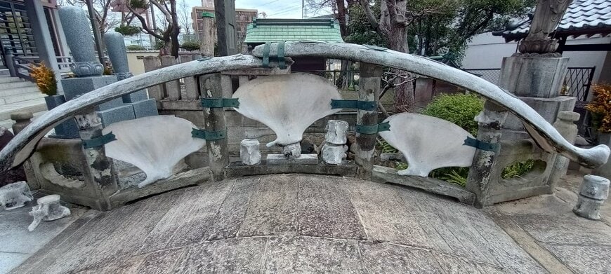 骨の大きさに驚く