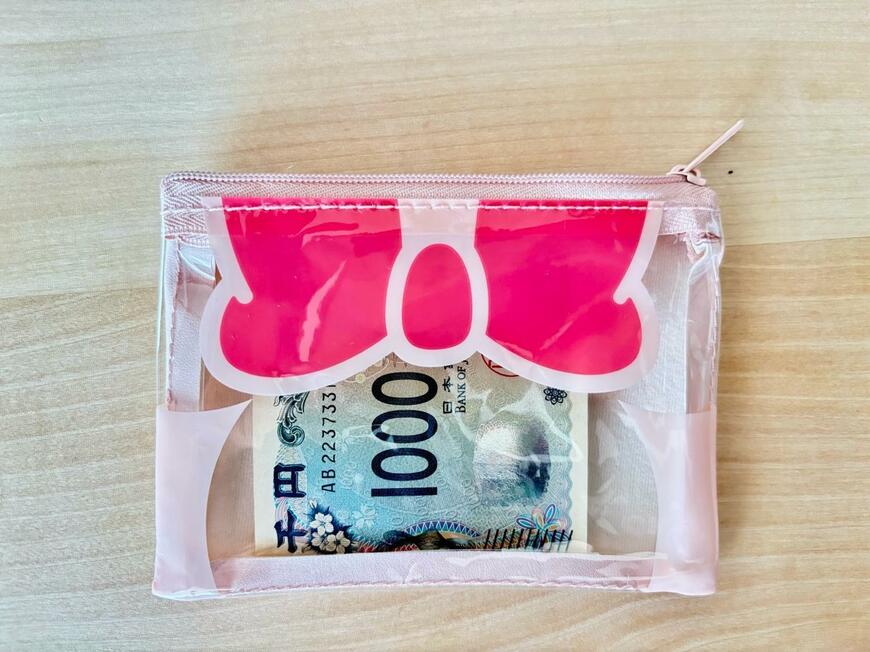 フラットポーチ(ミニーアイコン)