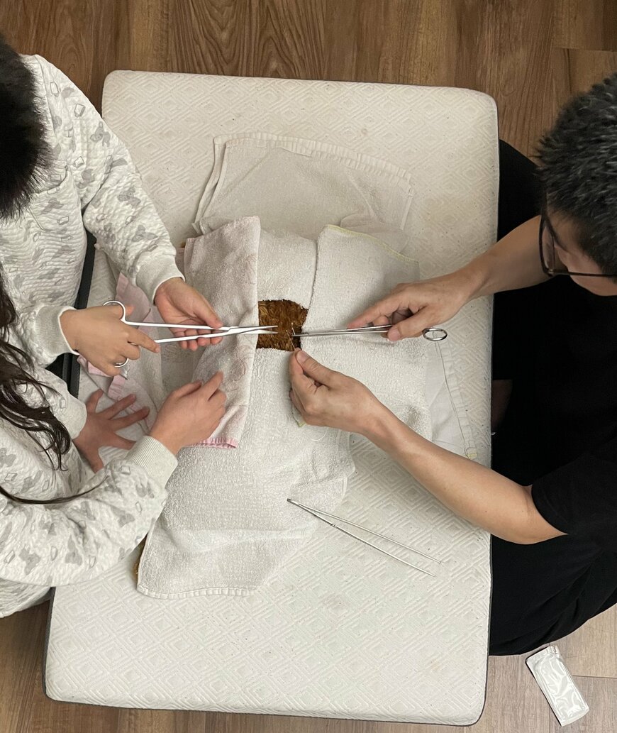 家族3人でおこなうぬいぐるみのオペ