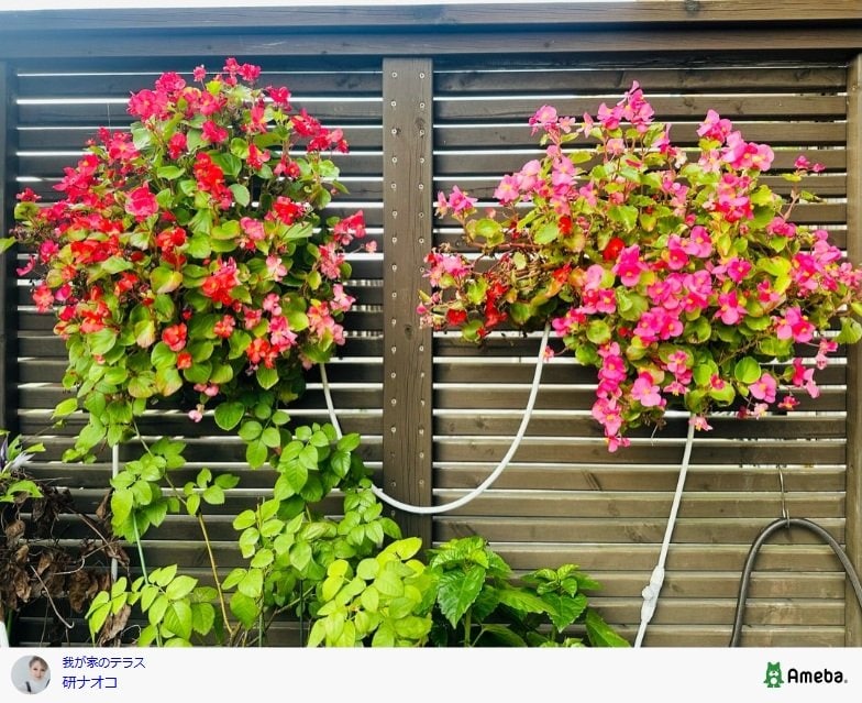 研ナオコが投稿した写真