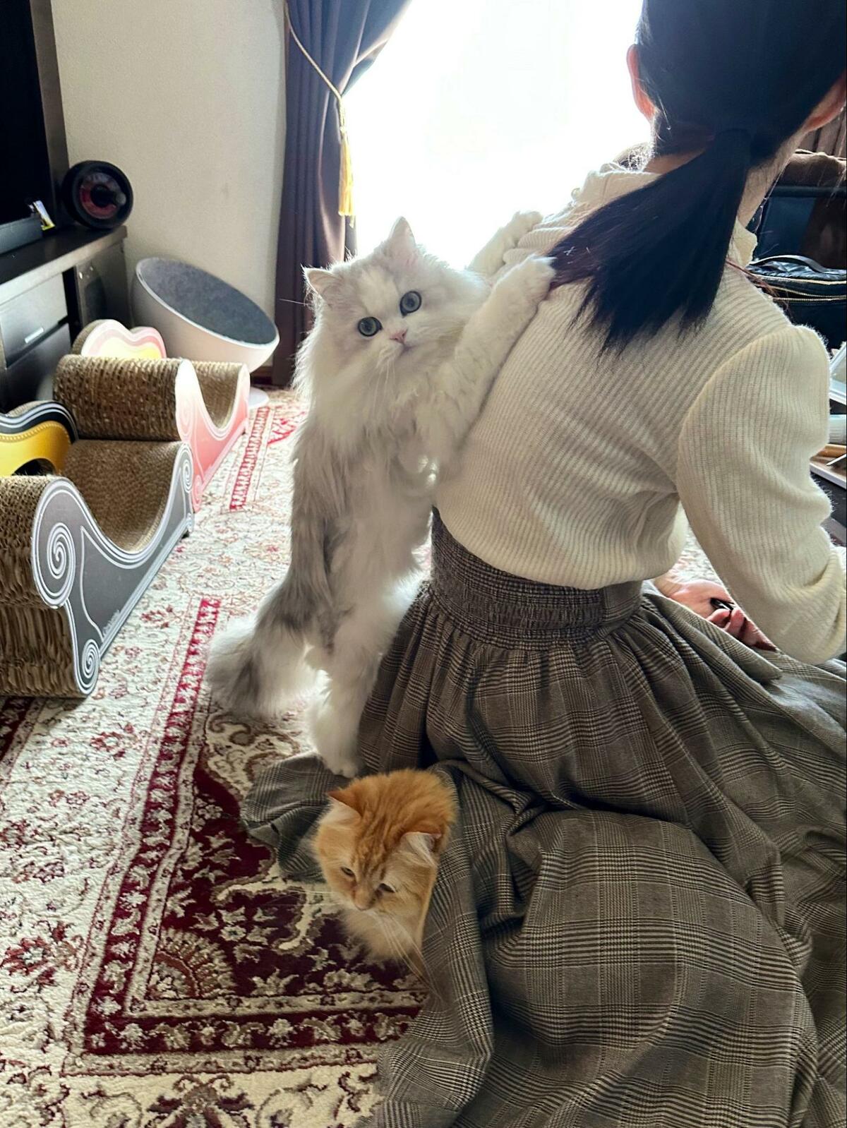 お出掛け、良くないです」ママの外出を察した猫 目を疑う強行策に笑っ