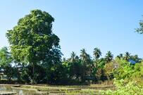 田園地帯で発見した「美しい縄」のようなものが話題　「まさかの正体」にゾッとしてしまう