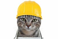 猫の小学校ができました！「仕事猫」が小学生になってカプセルトイに登場《撮り下ろしレビュー》