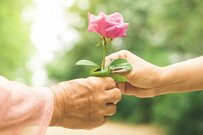 【住民税非課税世帯】給付金手続きが進むなかで「高齢受給者」が多い理由とは？