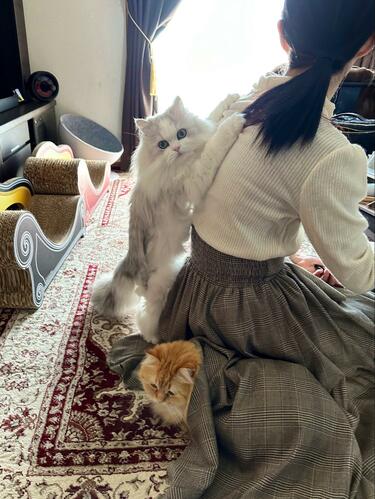 お出掛け、良くないです」ママの外出を察した猫 目を疑う強行策に笑っ