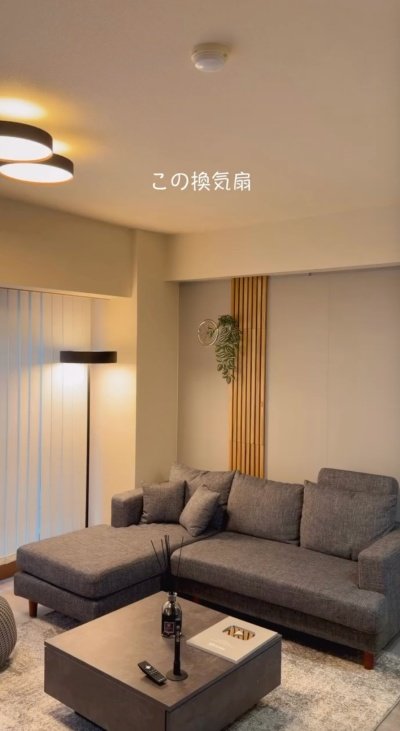 変身前の換気口
