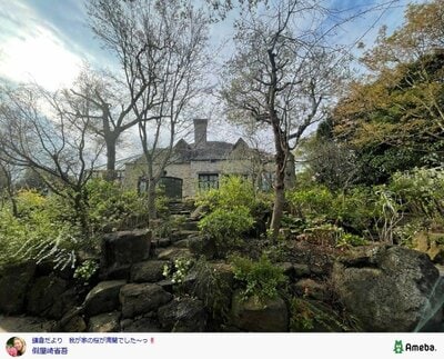 假屋崎省吾の公式ブログ投稿