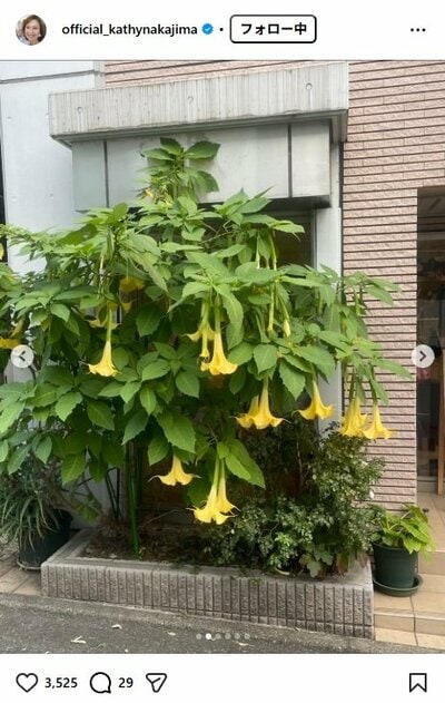 キャシー中島のInstagram投稿