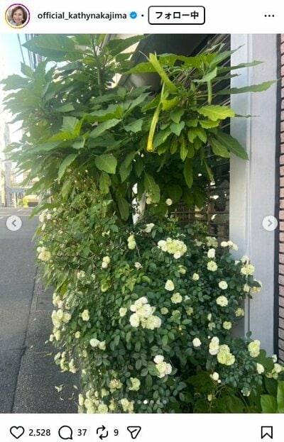 キャシー中島のInstagram投稿