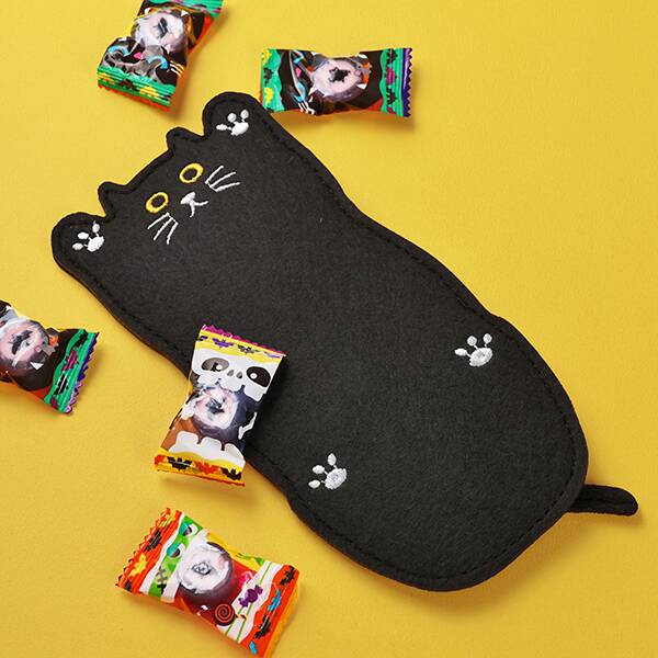 「にゃーん」な表情がかわいいペンケースとお菓子