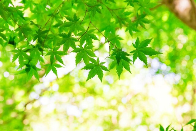 還暦60代は「貯蓄2000万円」もっているのか「年金だけで生活する世帯」は48.4％