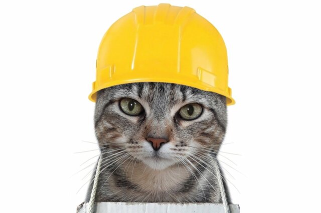 猫の小学校ができました！「仕事猫」が小学生になってカプセルトイに登場《撮り下ろしレビュー》