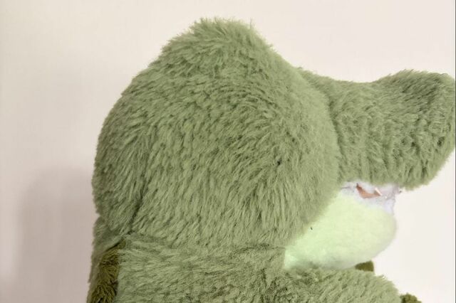 「大切なぬいぐるみ」の変身具合に注目集まる　ワクワクしてしまう変化に「心なしか表情も…」