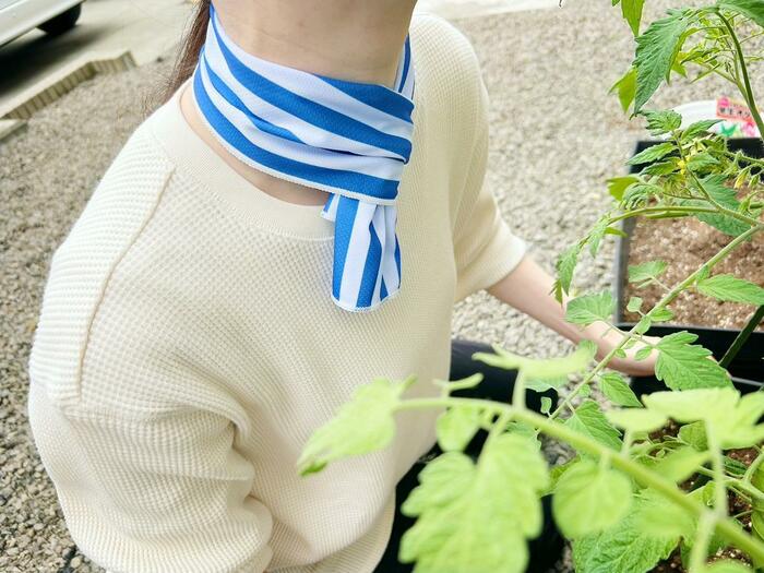 ひんやりクールタオル